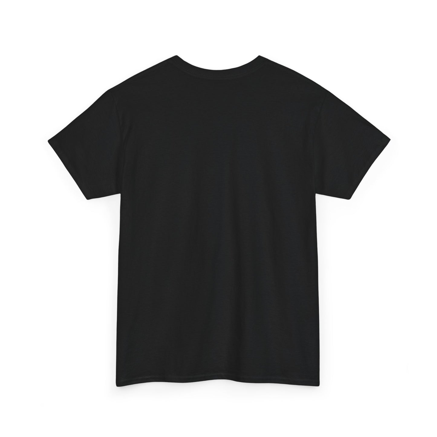 Not Today Boomer! Funny T-Shirt | Humor Graphic Tee | Funny Gen-Z T-Shirt
